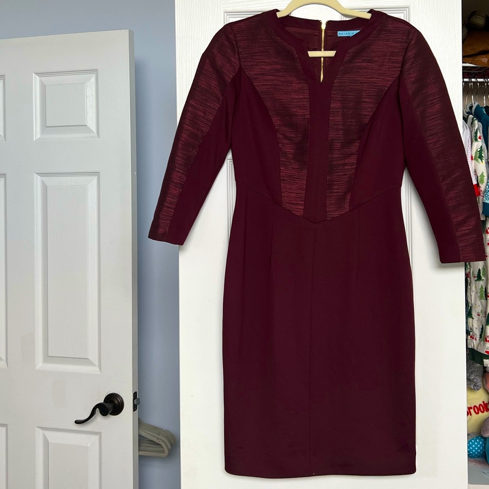 Antonio Melani Dress NWOT